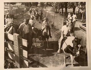 Pony Rides